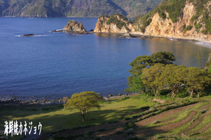 根合海岸