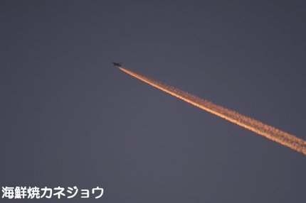 科学忍法