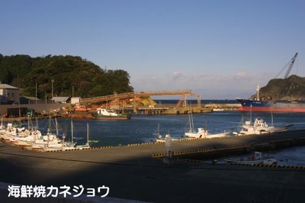 宇久須港の朝18日