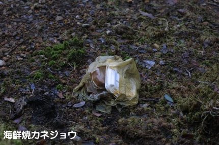 湿原2