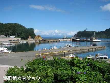 宇久須港の朝3日