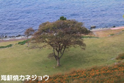 パワースポット?
