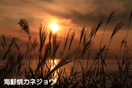 16日夕景