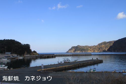 宇久須港の朝27日