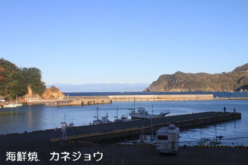 宇久須港の朝4日