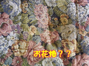 蜂さん ああ 勘違い