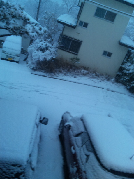 雪がすごかったです