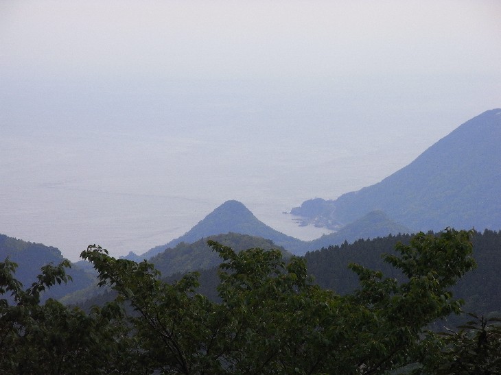 河津の山!