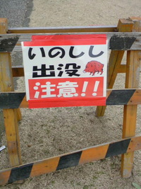 梅!
