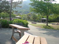 富士川楽座で