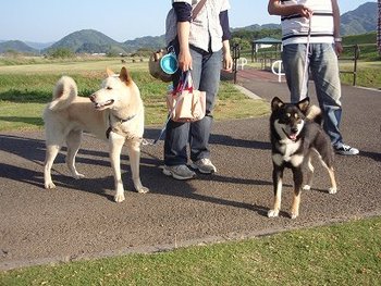 楽しい夢を見ているのかな~? ^^