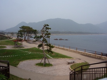 百合の花咲く海辺の公園♪♪