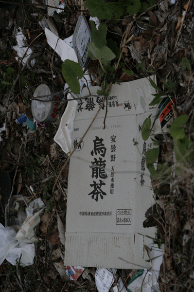 見ない方がいいぞ。。。
