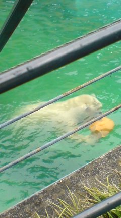 きょうは