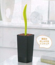 記念品 ”第5弾” 決定いたしました
