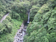大棚の滝