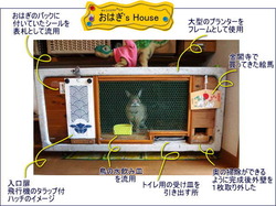 うさぎの”おはぎ”『我が家の自慢のペットです!』