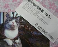 岩合光昭写真展『ねこ』佐野美術館に行って来ました