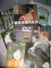 岩合光昭写真展『ねこ』佐野美術館に行って来ました