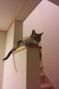 マルソー君も気に入ってくれたみたい♪
