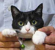 我が家の自慢のペットです!(プーチン)