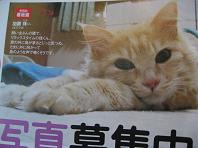 嬉しいです~