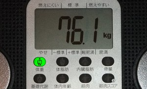 今日の報告・・・