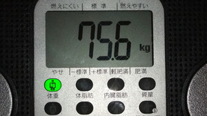 おはようございます。