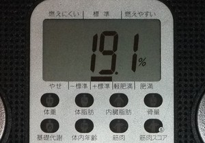 今日の報告・・・