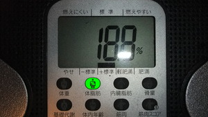 今日の報告・・・
