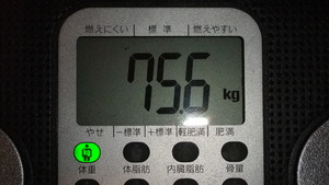 今日の報告・・・