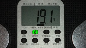 今日の報告・・・