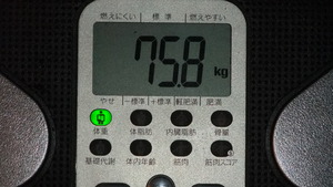 今日の報告・・・