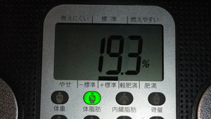 今日の報告・・・