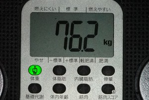 今日の報告・・・