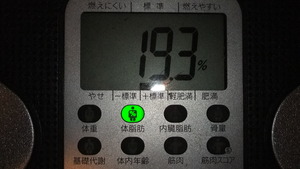 今日の報告・・・