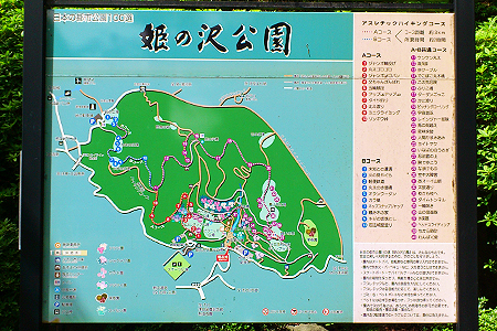 姫の沢公園