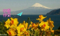 西伊豆からの富士山 ～☆いよいよ春！うぐす温泉 格安 宿泊施設 民宿