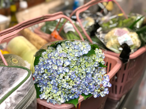 定休日の水曜日はまたまた雨~♪ 定休日の水曜日はまたまた雨~♪