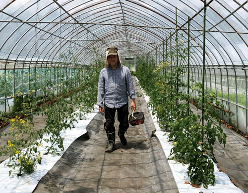 2019蓼科~人も野菜もチャーミング ♪ 2019蓼科~人も野菜もチャーミング ♪