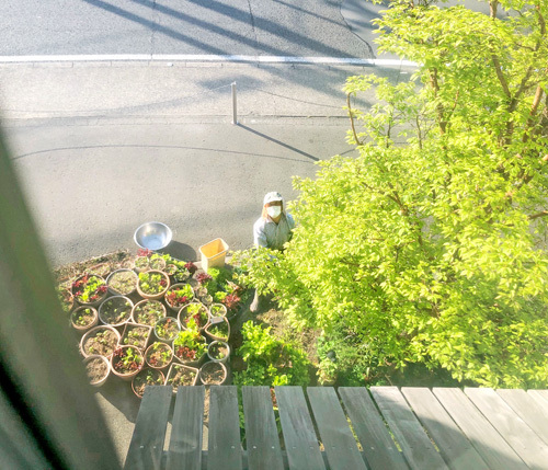 休日朝6時~♪ 休日朝6時~♪