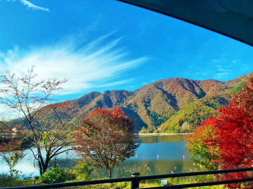 オモウマい店で紹介されたひまわり市場のお弁当~♪ オモウマい店で紹介されたひまわり市場のお弁当~♪