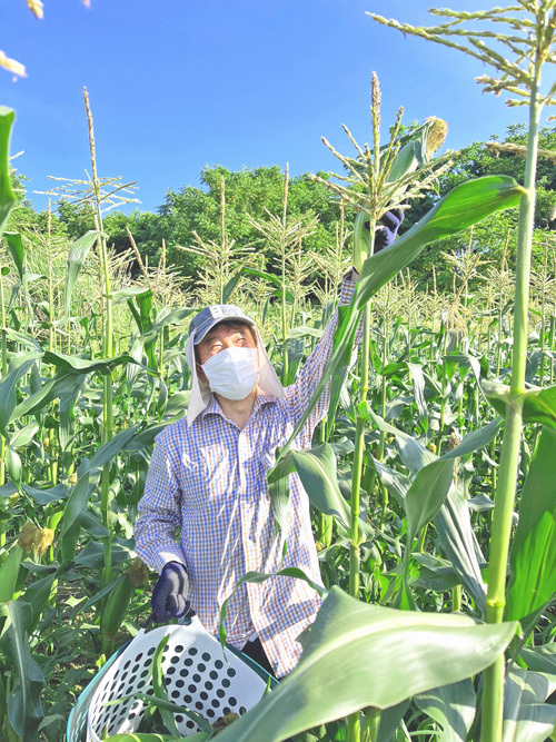 2024蓼科~今井農園さんのとうもろこしのスープが絶品 ♪ 2024蓼科~今井農園さんのとうもろこしのスープが絶品 ♪