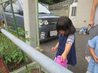 ✿久しぶりのキャンディー✿ ✿久しぶりのキャンディー✿