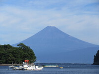 今日の富士山（戸田港〉