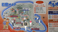 初島と早春の草花 PART Ⅱ 初島と早春の草花 PART Ⅱ