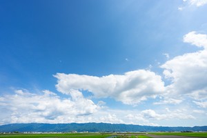夏季休暇のお知らせ 夏季休暇のお知らせ