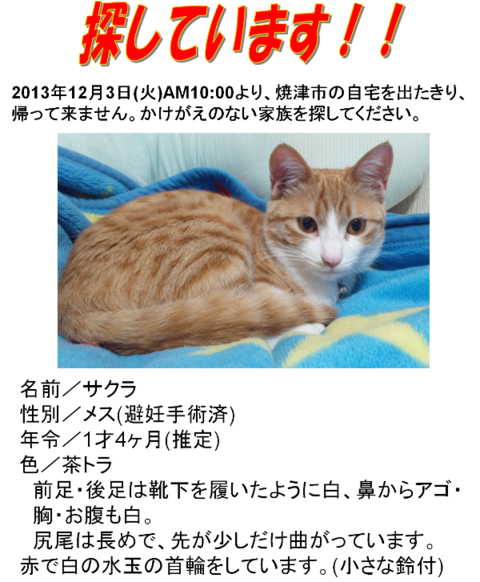 見つけた方、メッセージください!