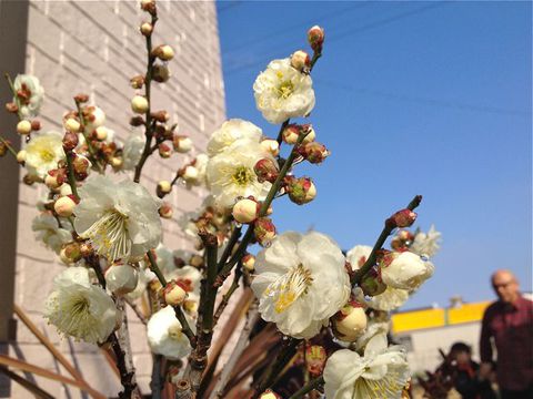 文四郎、二泊する!