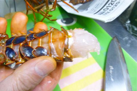 本物伊勢海老を!